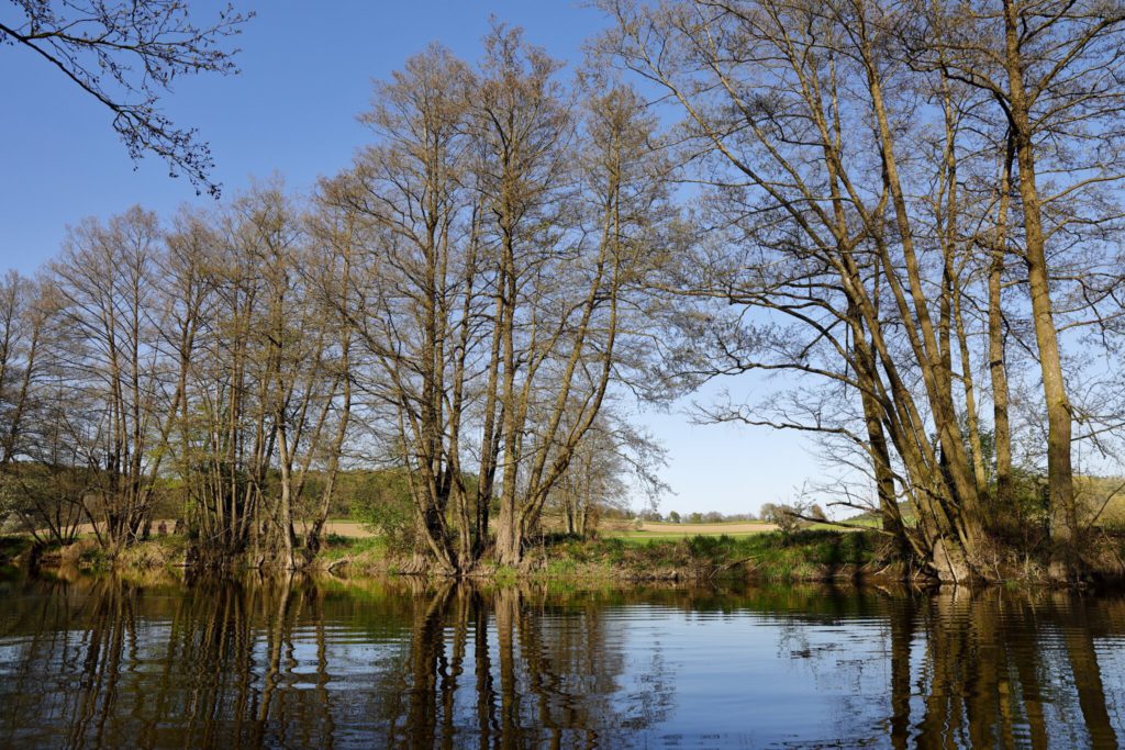 Der Fluss Schwarzach
